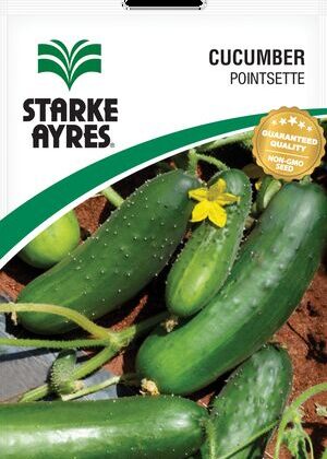 Cucumber Pointsette
