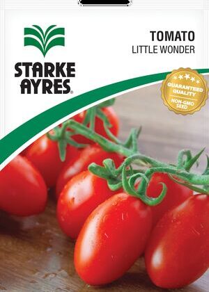 Tomato Little Wonder