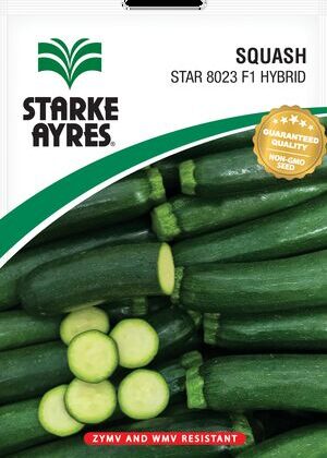 Squash Star 8023 F1 Hybrid