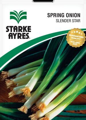 Spring Onion Slender Star