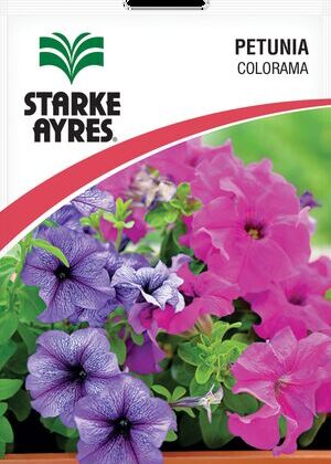 Petunia Colorama