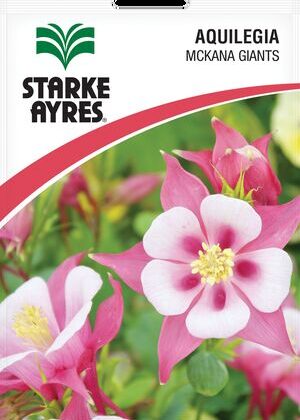 Aquilegia Mickana Giants